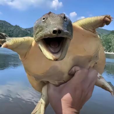 亚里士多德的妹妹