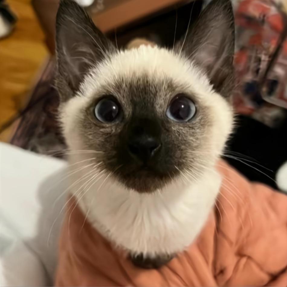 其实今天没洗头