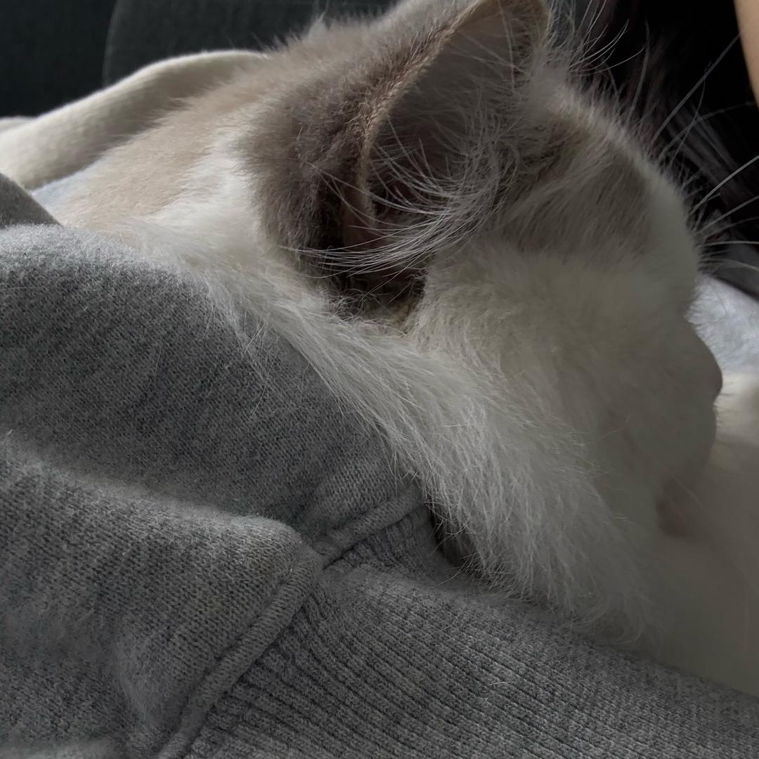 PinPin（穿搭版🥐