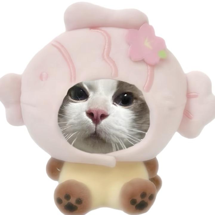 声声漫