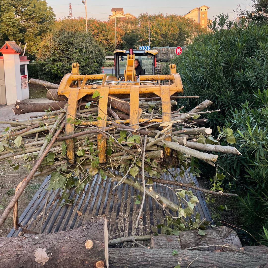 江苏苏州张家港无锡附近城市锯树