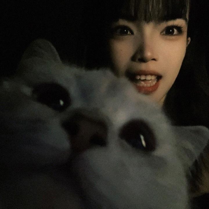 困困酱➰