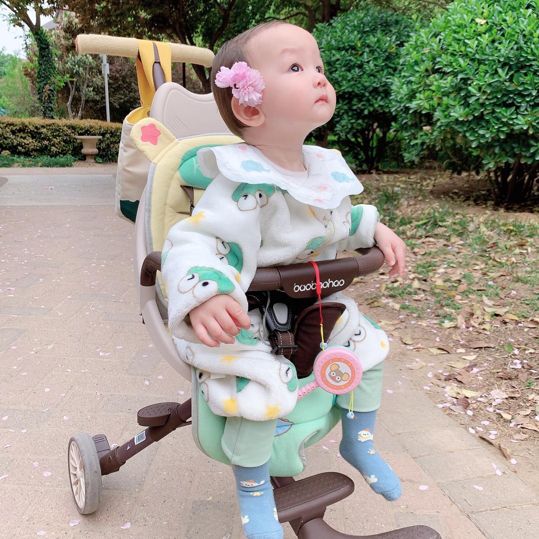 一只蜗牛