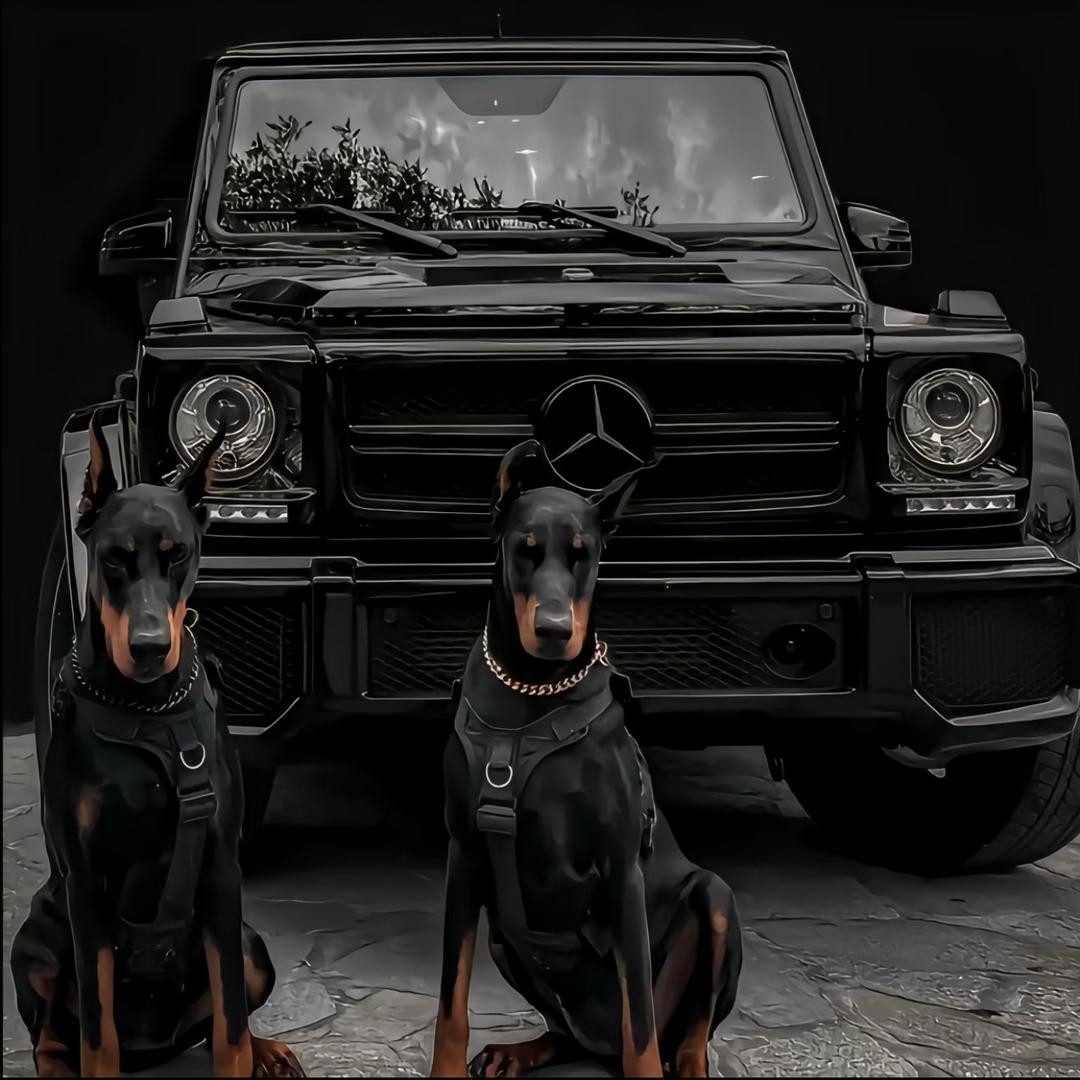 ✈️ 재물을 모으다