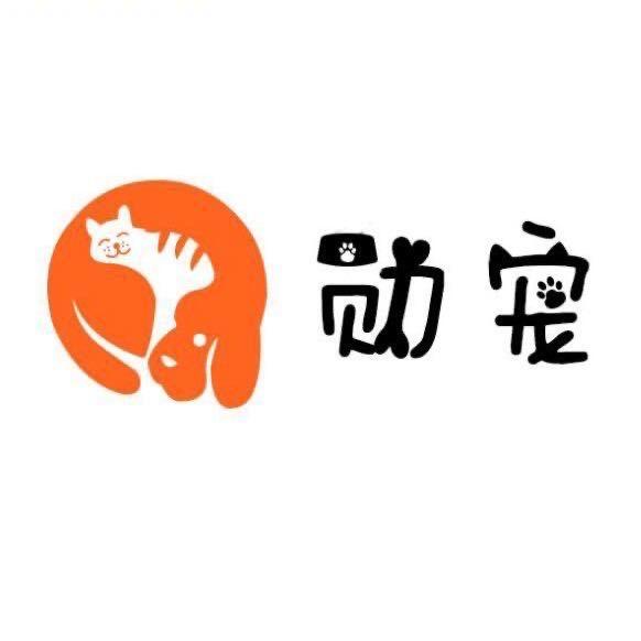 山东勋宠🇨🇳Liu