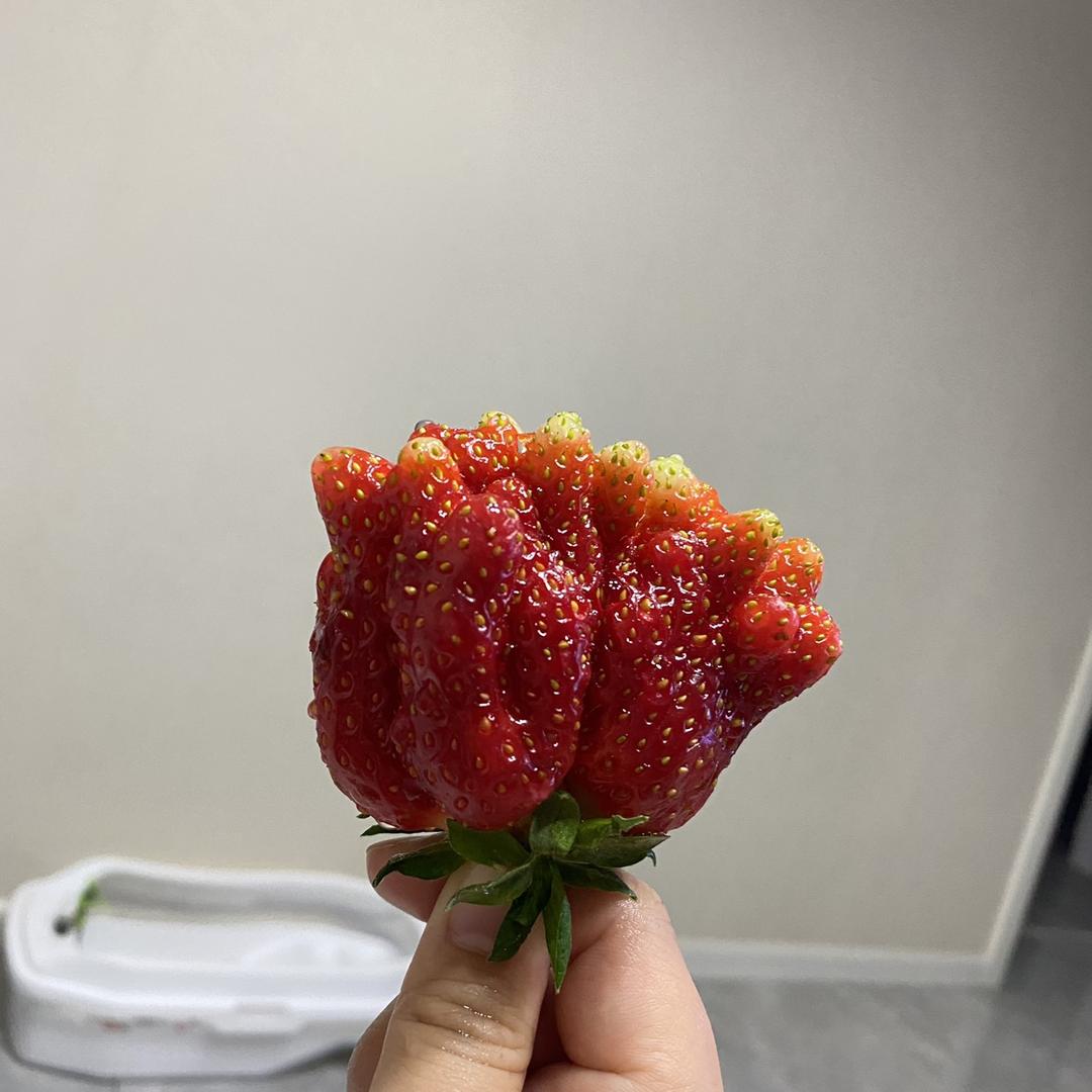 🎆心动的小鹿（红心海贼团）