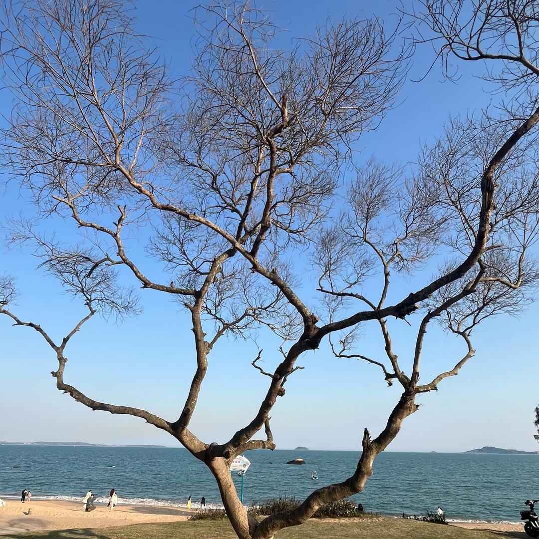 爱打钉子的小🐟