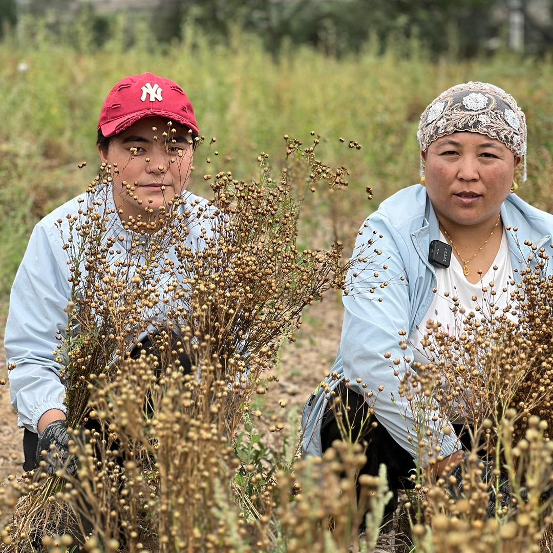 宁夏喜氏食品有限公司