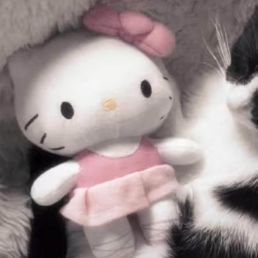 你要这么想我也没办法