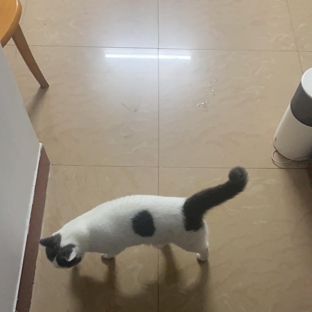 小不点玩具严选