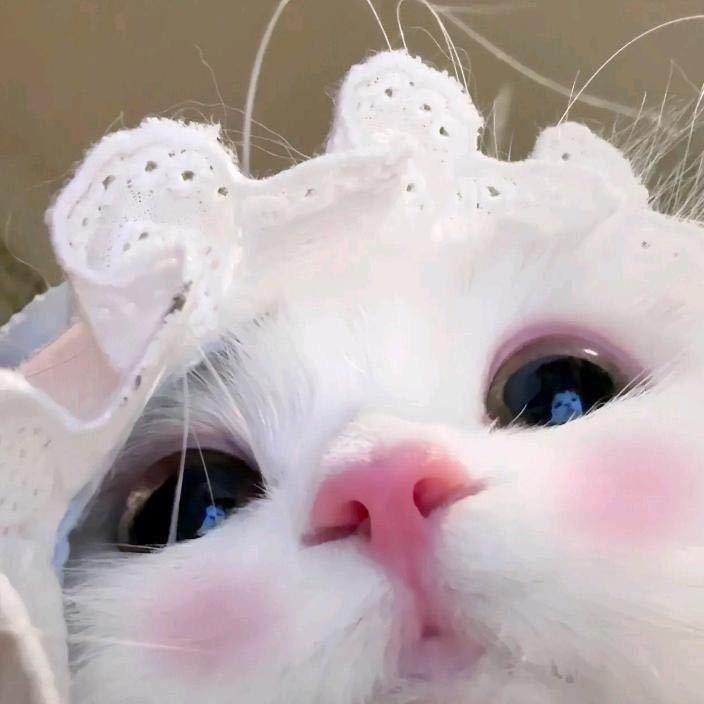 W-w.