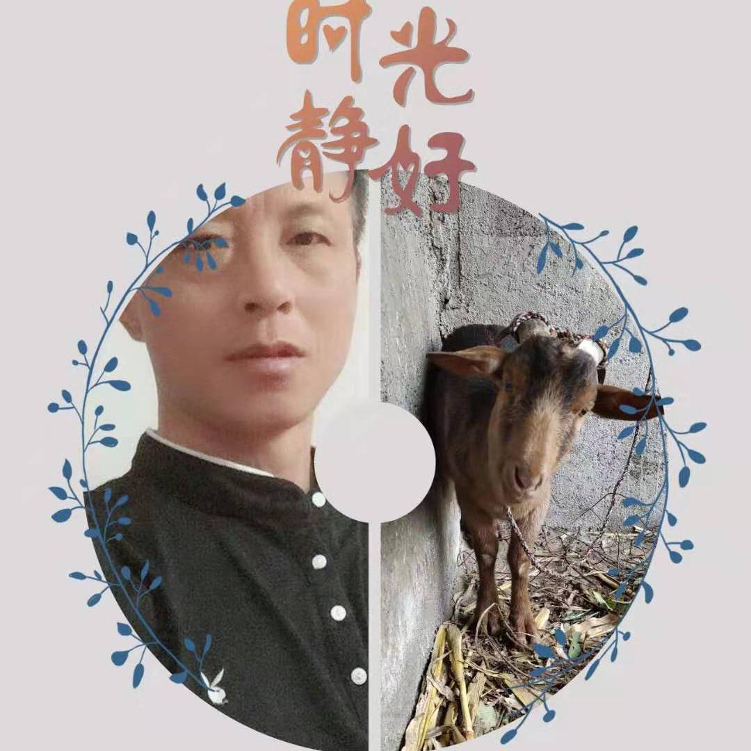 🇨🇳天音独行🇨🇳