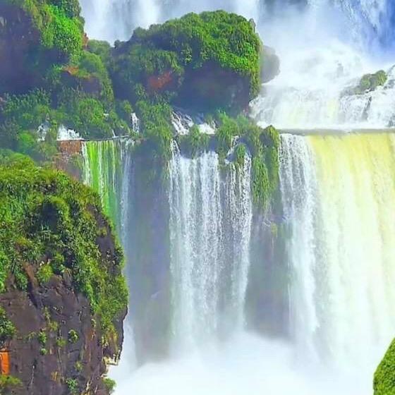 达州市红香椿专业合作社