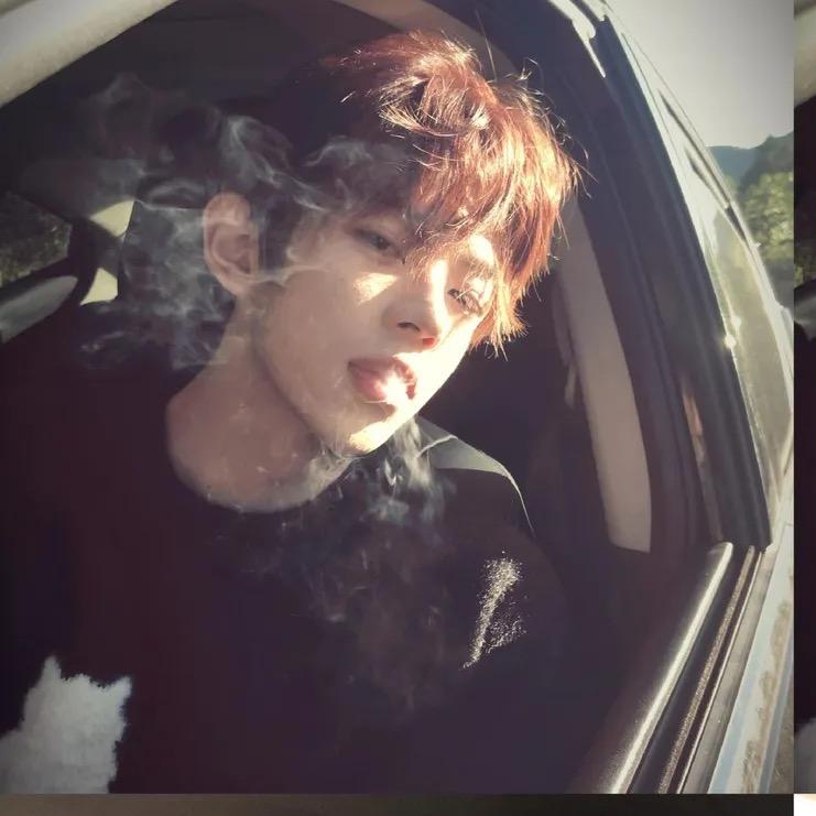 最后的深情