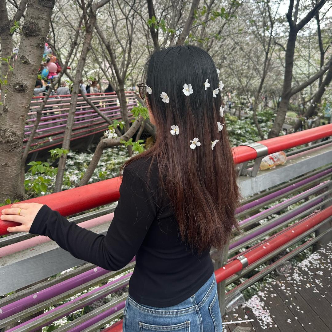 塔主