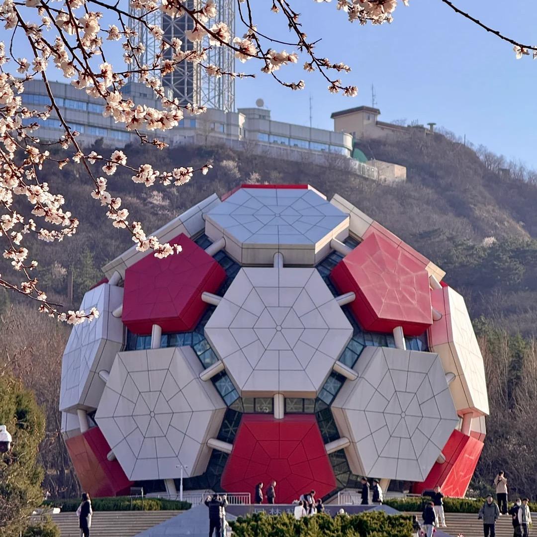 霸.七 大连