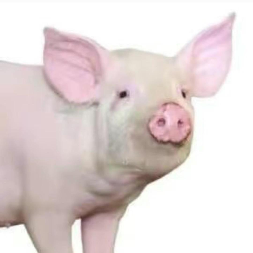 2 0