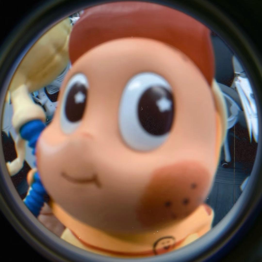𝙔𝟭
