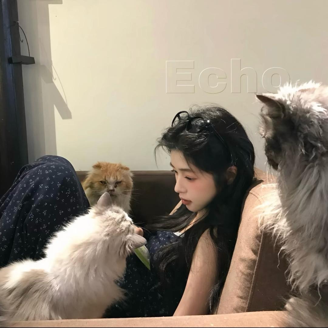 楽贵妃