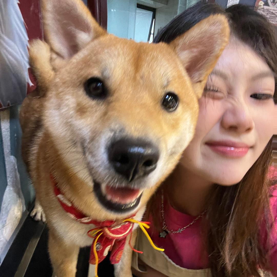 糕冷小美