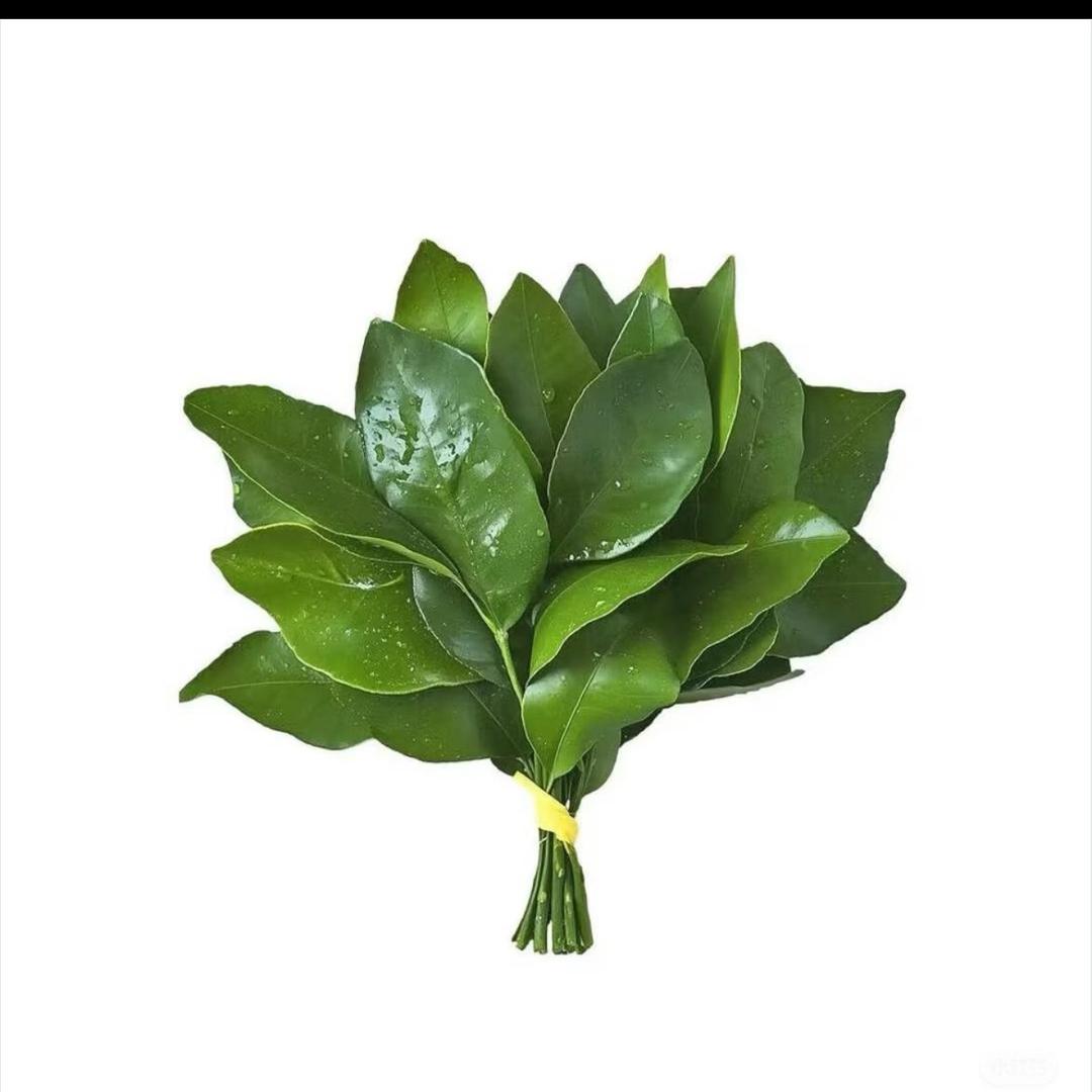 我叫美洋洋