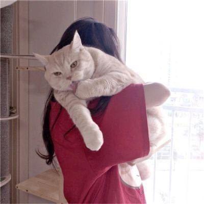 丑女无敌，安吉白茶
