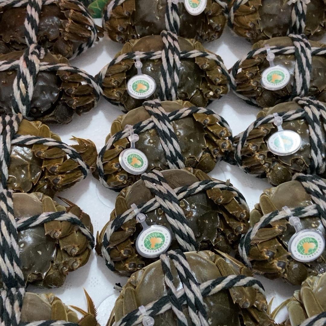 万亩蟹田大闸蟹昆明明日达