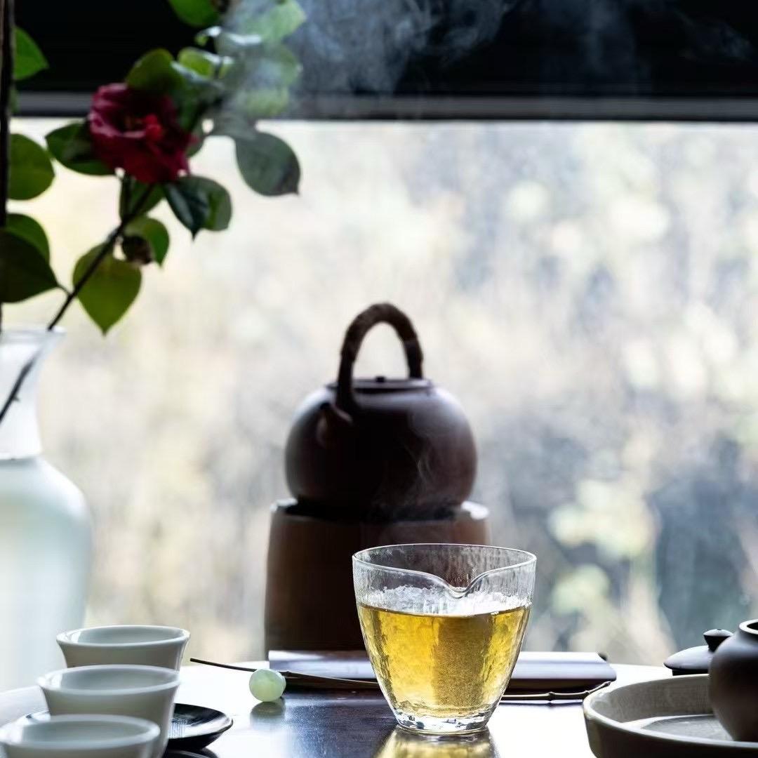 雨林普洱