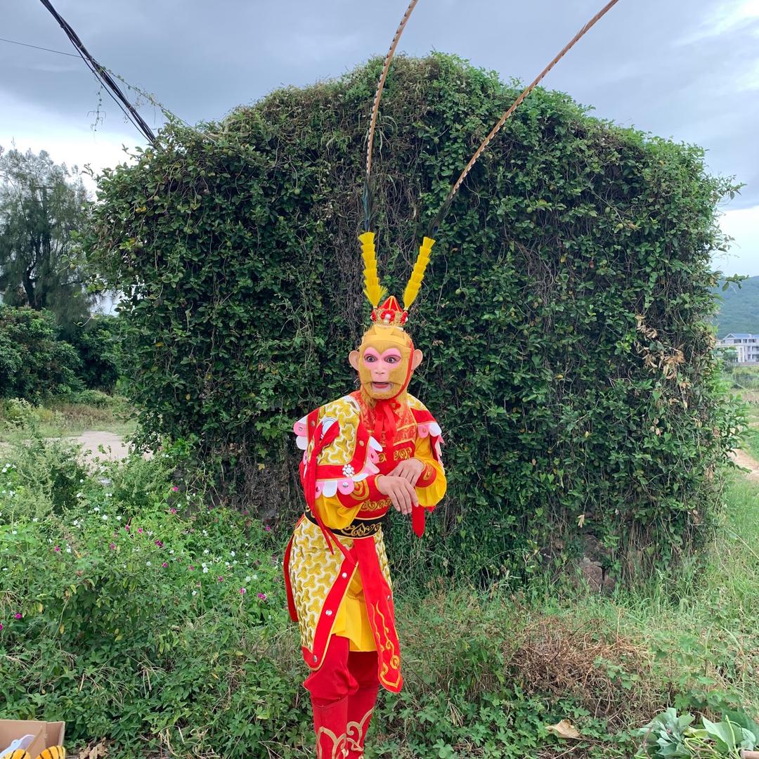 美猴王 东东🦀