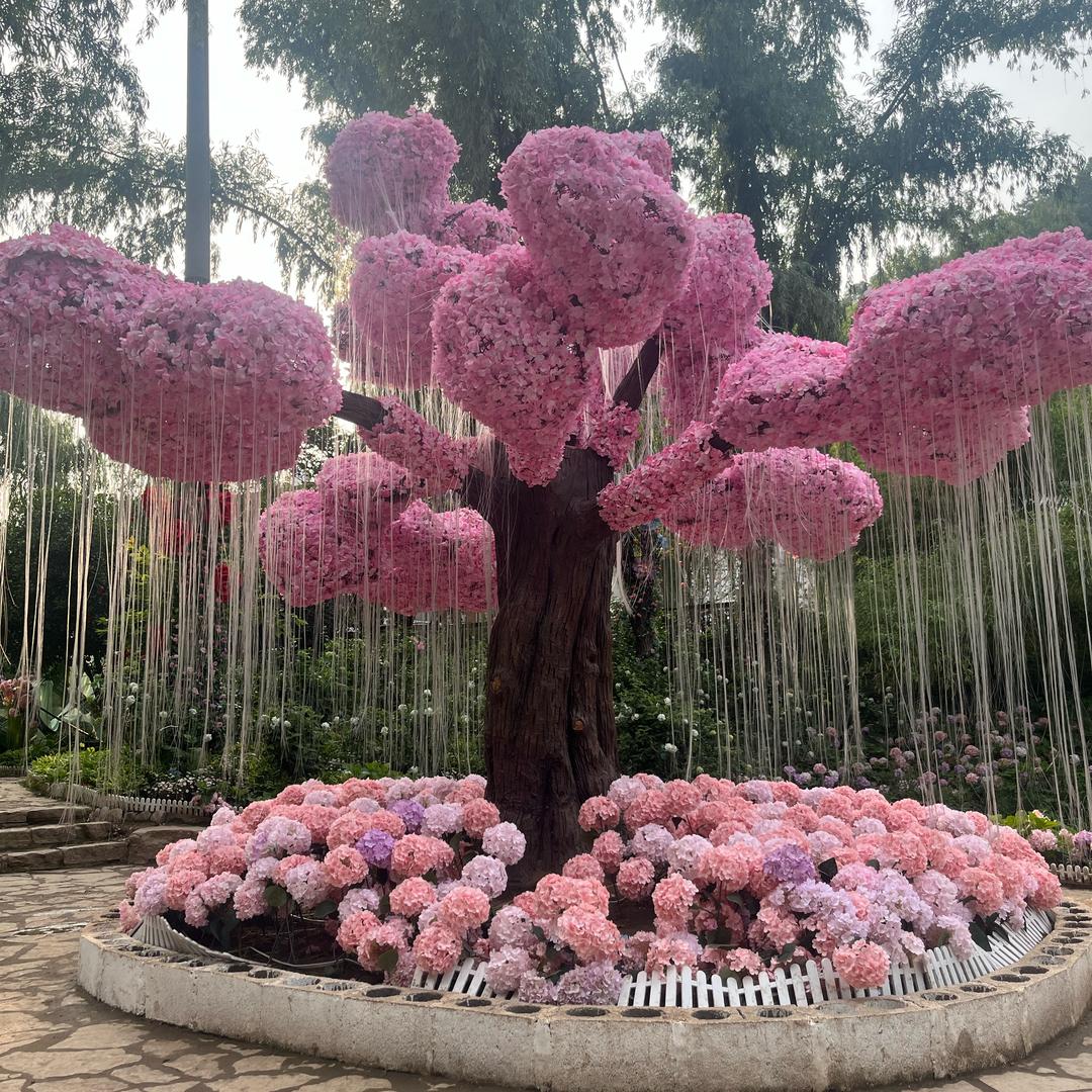 春春副食店蓝山县奕焕敏设计馆常直播号