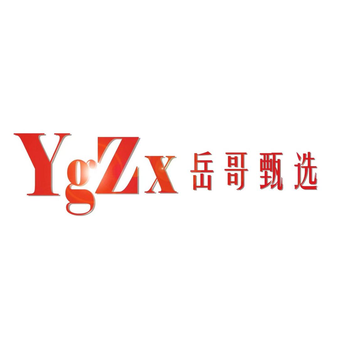 岳哥甄选