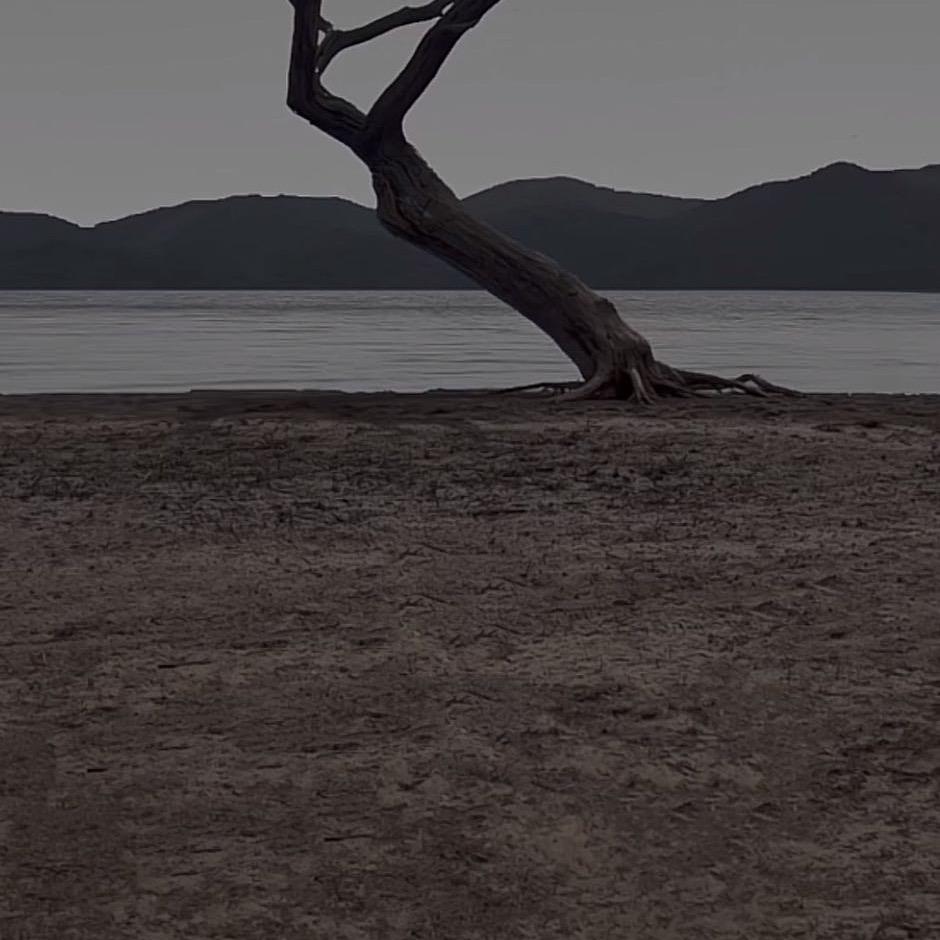 森洲网络科技有限公司