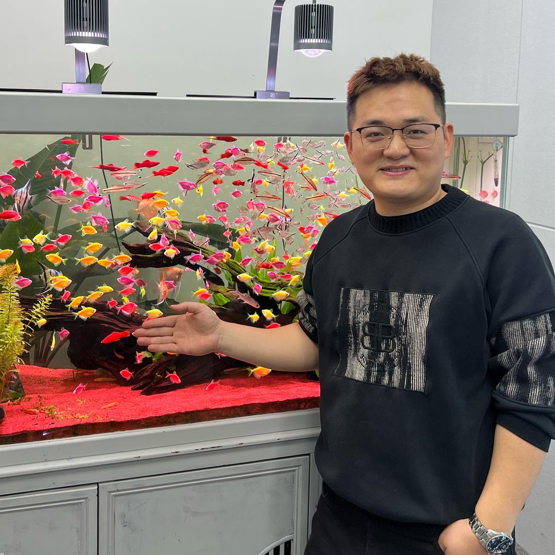 小马爱养鱼