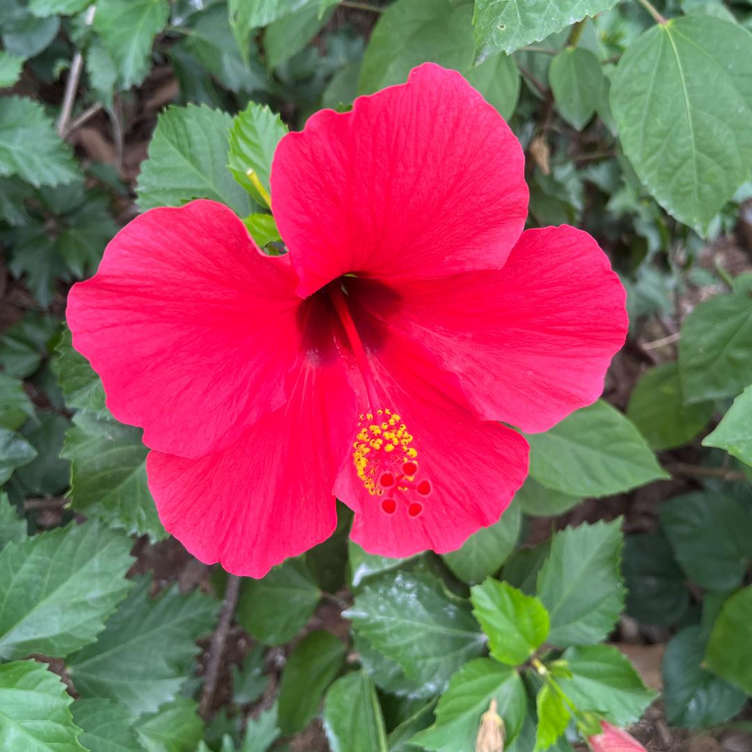 飘零（橱窗有好物）