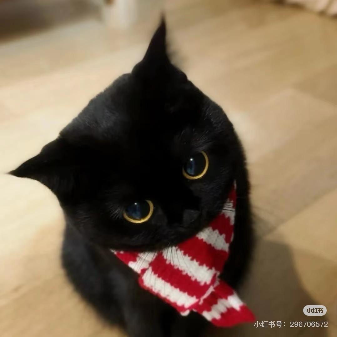 成都租房 涂涂啊