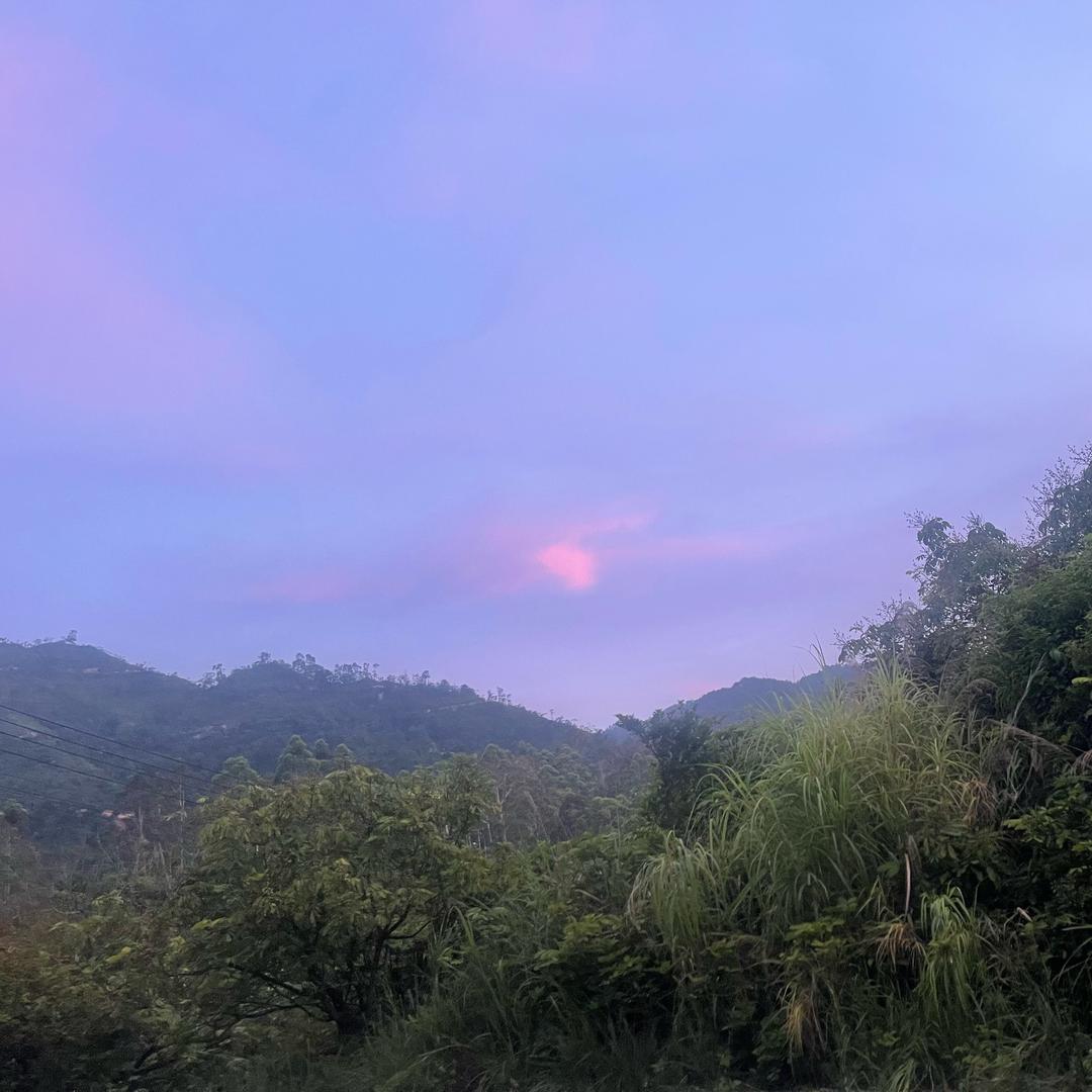 晨光熹微