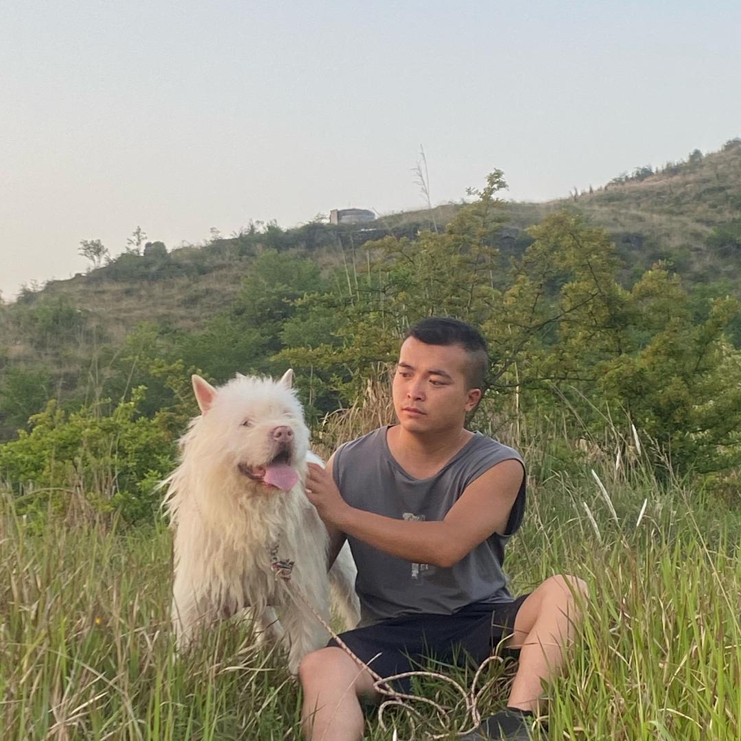 小鹏下司犬（小号）