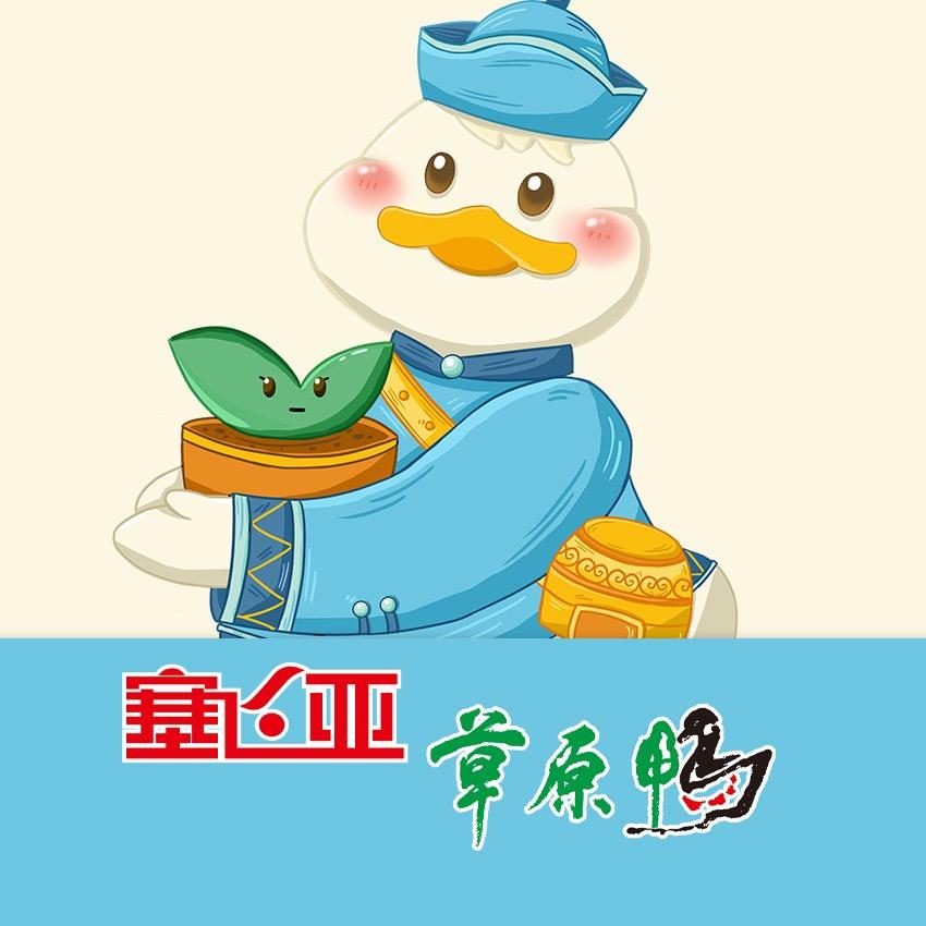 塞飞亚草原鸭