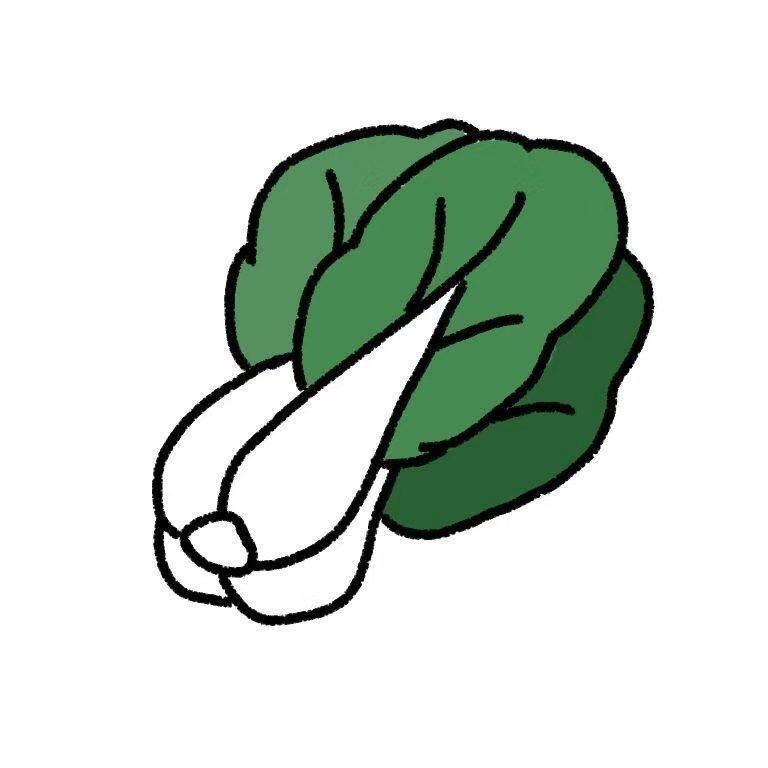 一颗小白菜@抖音