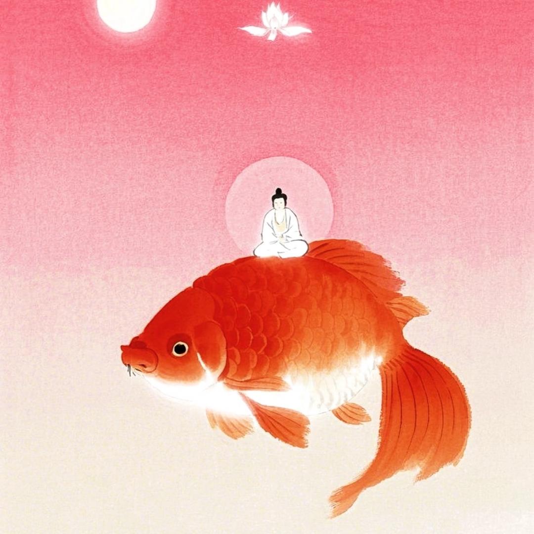小福云🪷