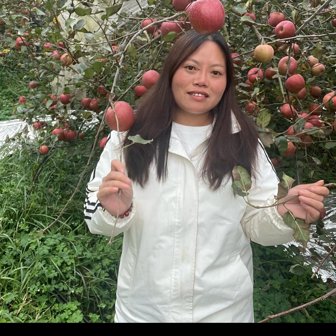 苹果姐