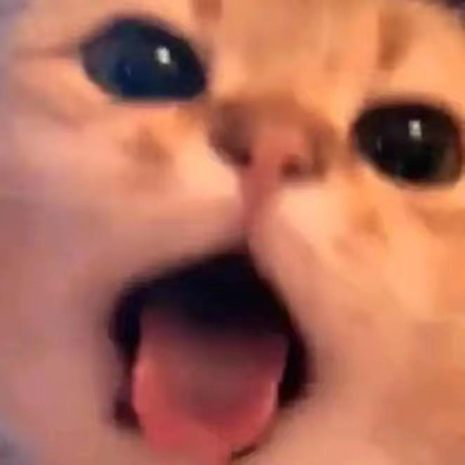 卓子