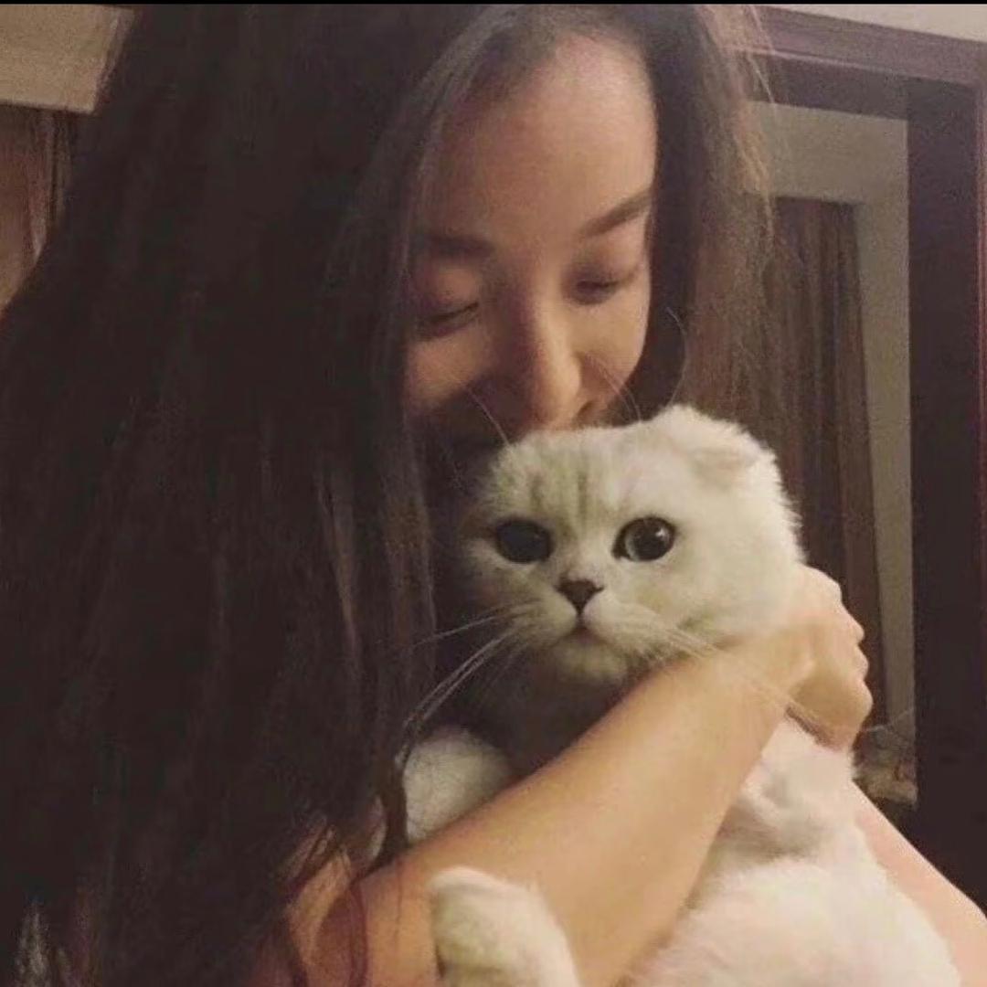 momo.