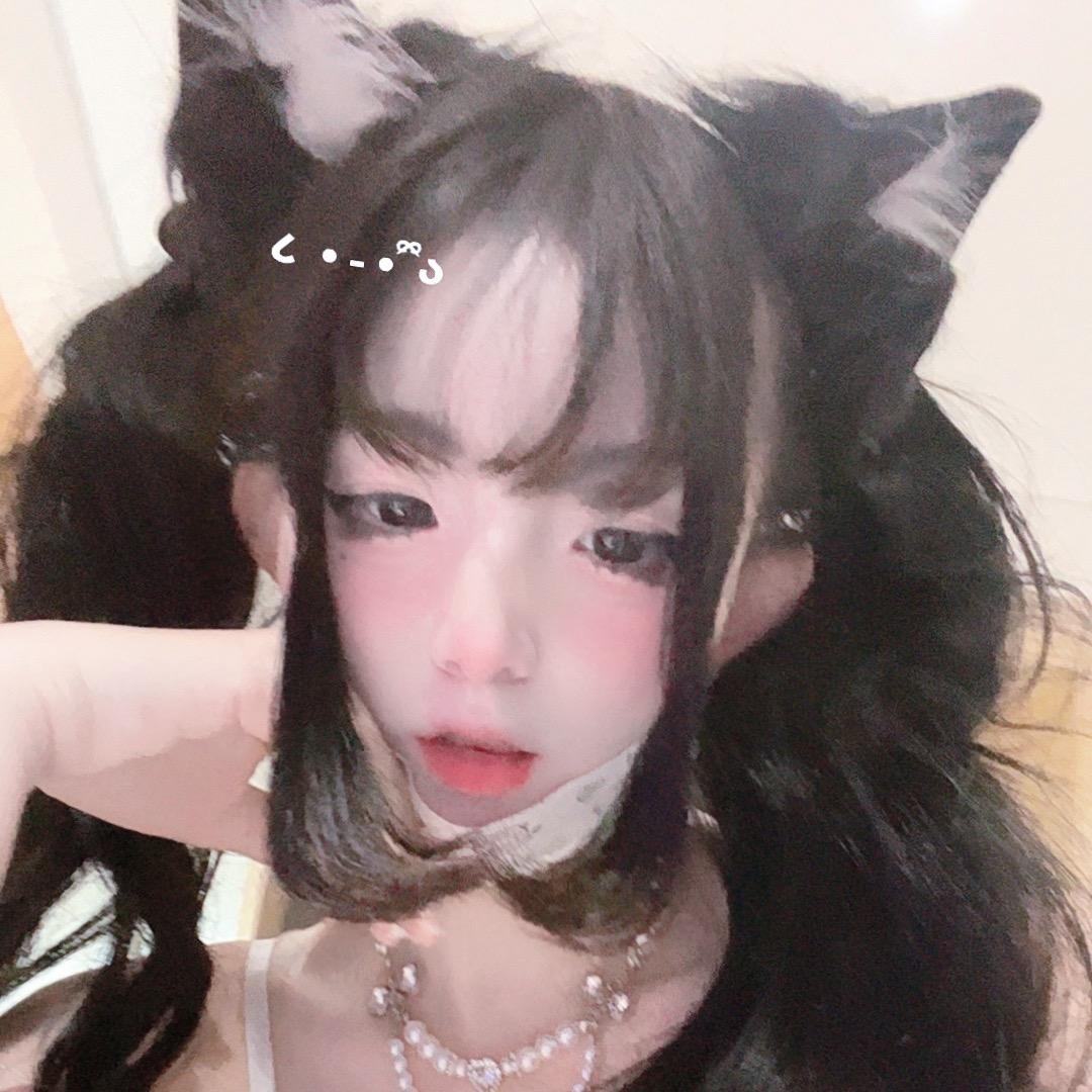静崽