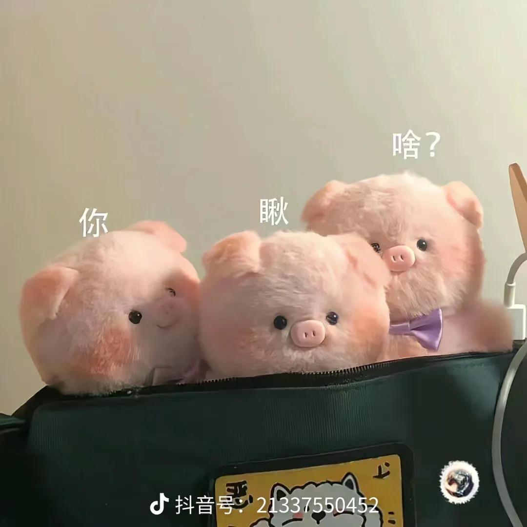 土耳其烤肉饭