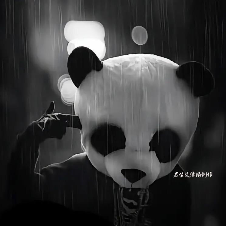 A5¥