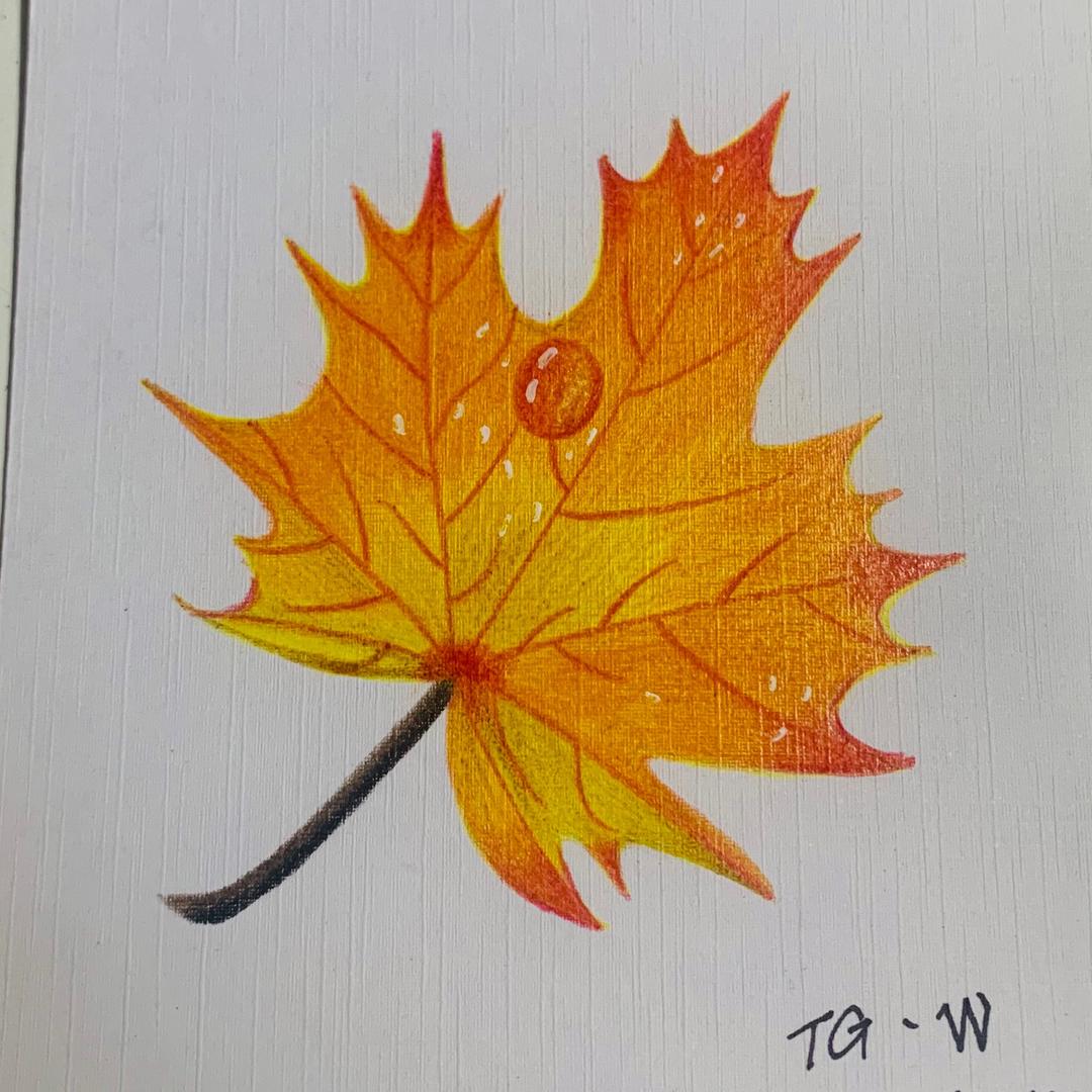 🍁