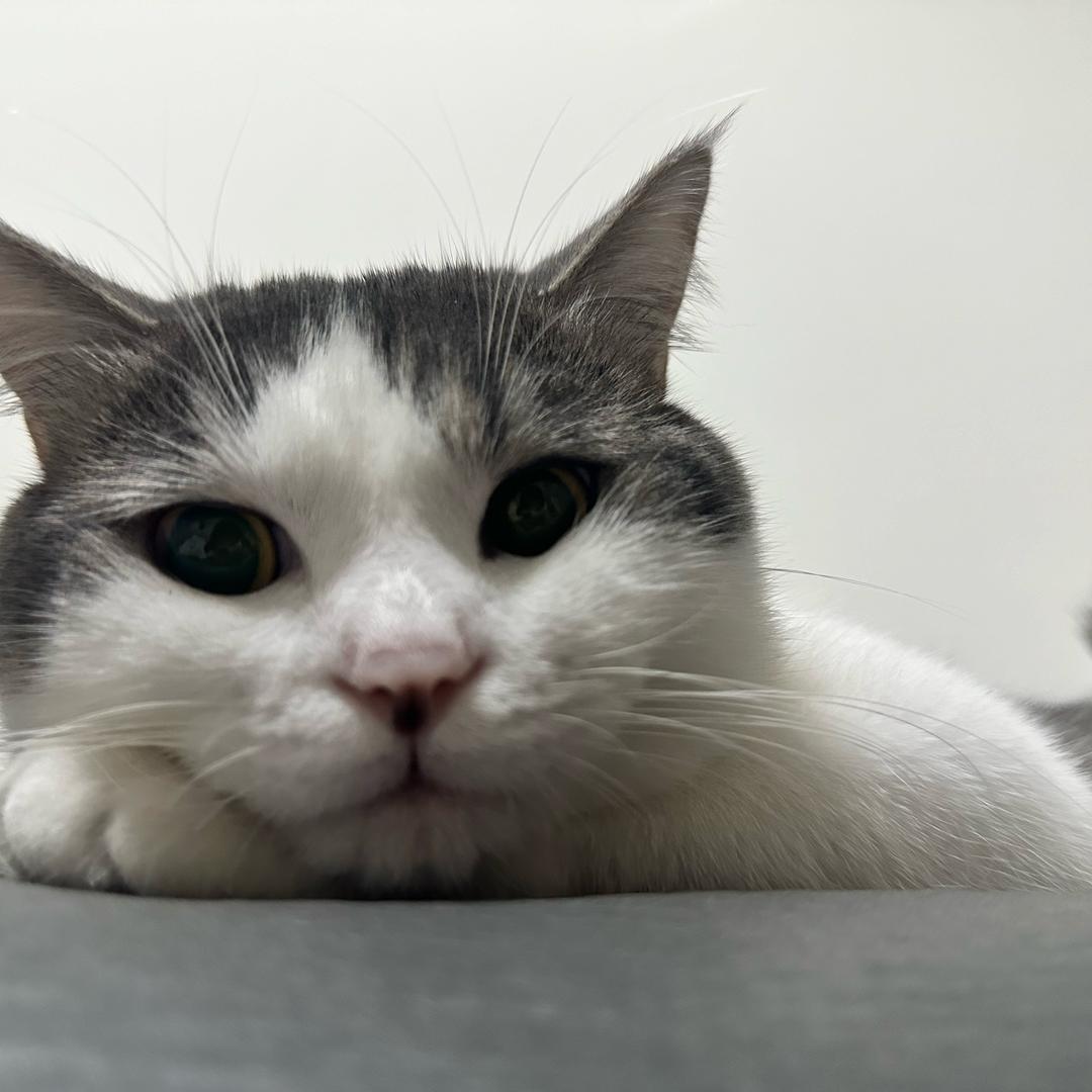 椰子味的薯片🥥