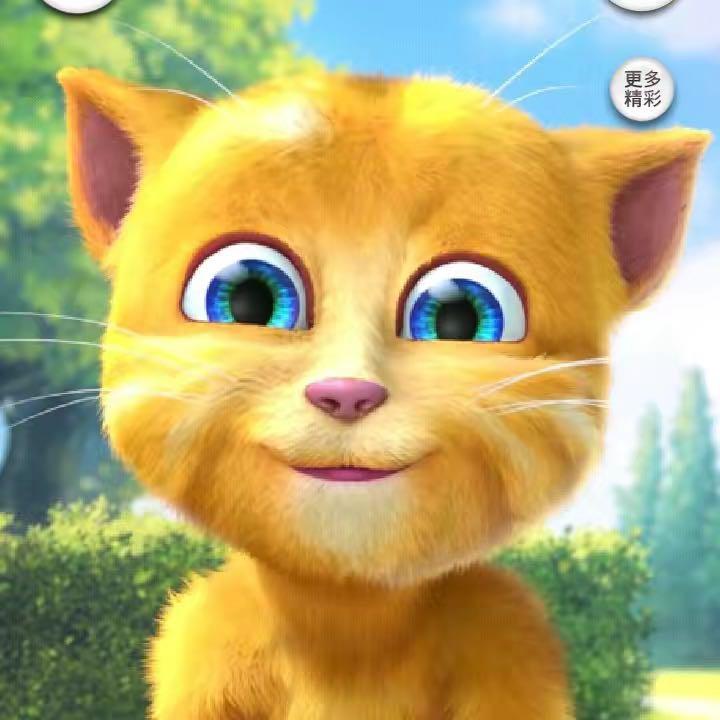 汤姆猫早教