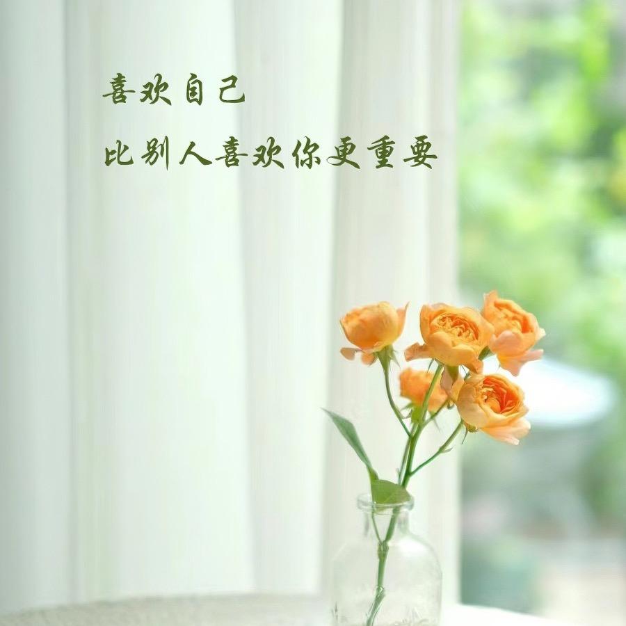 十三不会飞